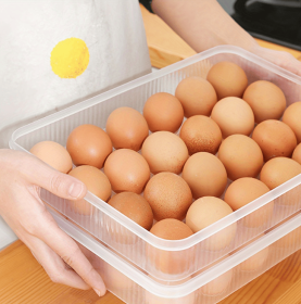 Deviled Egg Containers with Lid, (Set of 2),Stackable Plastic Egg Holder for 48 Eggs,Clear Egg Storage Holder for Fridge,Keep Fresh,Easter,Thanksgivi